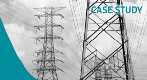 Monitoring of the Electrical Network