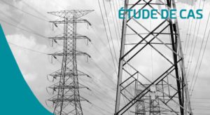 Surveillance de réseau électrique