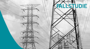 Überwachung des elektrischen Netzes